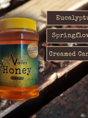 Honey 500g Plastic
